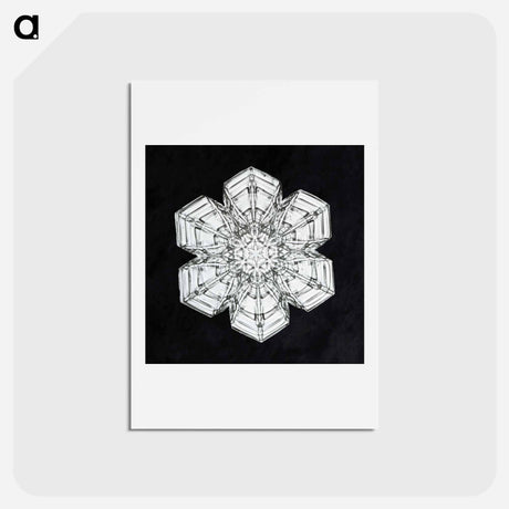 アートポストカード-Wilson Bentley's Snowflake 10 - ウィルソン ベントレー Postcard.