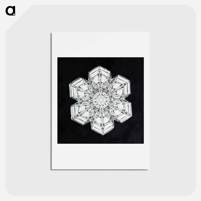 アートポストカード-Wilson Bentley's Snowflake 10 - ウィルソン ベントレー Postcard.