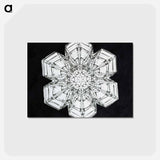 アートポストカード-Wilson Bentley's Snowflake 10 - ウィルソン ベントレー Postcard.