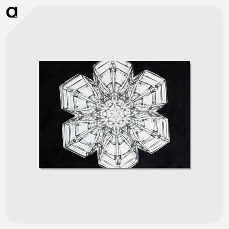 アートポストカード-Wilson Bentley's Snowflake 10 - ウィルソン ベントレー Postcard.
