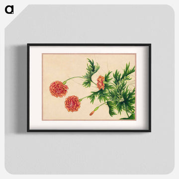 Peony - Zhang Ruoai Poster.