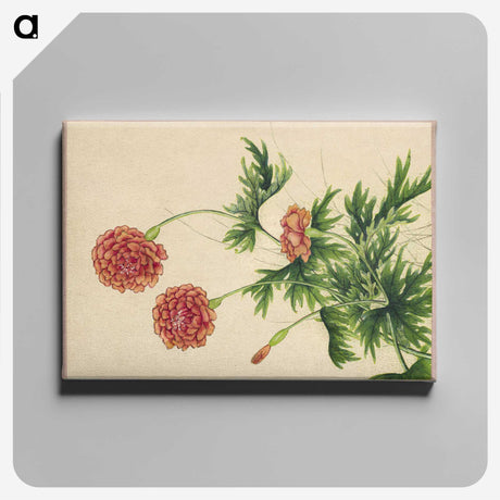 1-9_Zhang-Ruoai_canvas