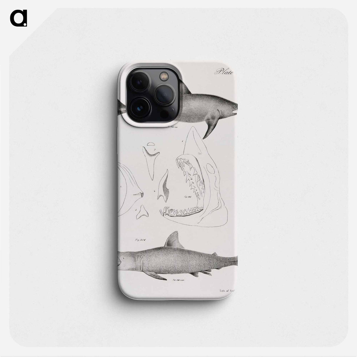 The Mackerel Porbeagle (Lamna punctata)  The Basking Shark (Selachus maximus) - ニューヨークの動物学 Phone Case.