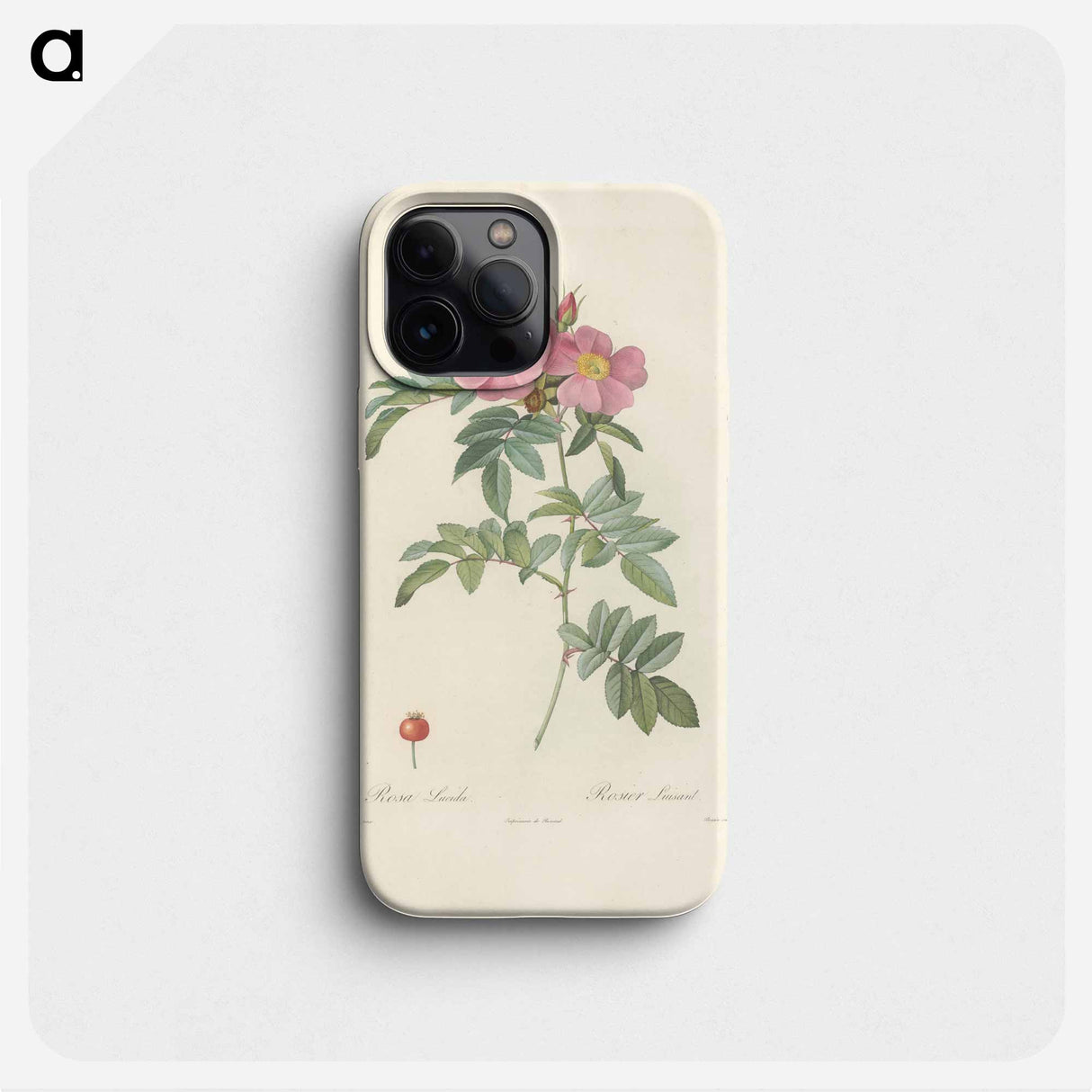 Rose illustration - ピエール ジョゼフ ルドゥーテ Phone Case.