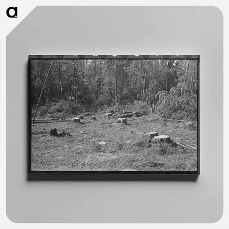 アートパネル-Auction Yard, San Augustine
 - ラッセル リー Canvas.