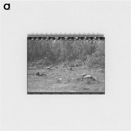 アートメモ帳-Auction Yard, San Augustine
 - ラッセル リー Memo.