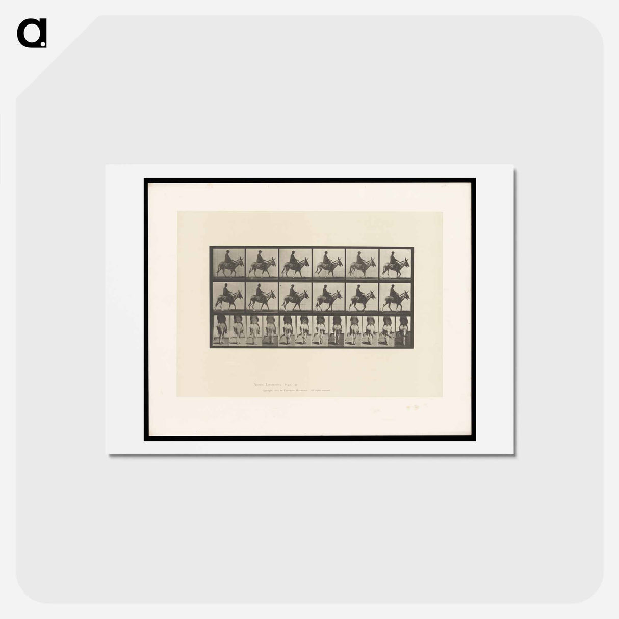 アートポストカード-Boy on a Donkey
 - エドワード マイブリッジ Postcard.