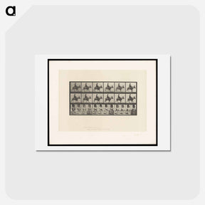 アートポストカード-Boy on a Donkey
 - エドワード マイブリッジ Postcard.