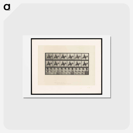 アートポストカード-Boy on a Donkey
 - エドワード マイブリッジ Postcard.