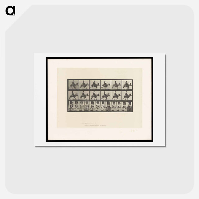 アートポストカード-Boy on a Donkey
 - エドワード マイブリッジ Postcard.