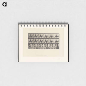 アートメモ帳-Boy on a Donkey
 - エドワード マイブリッジ Memo.