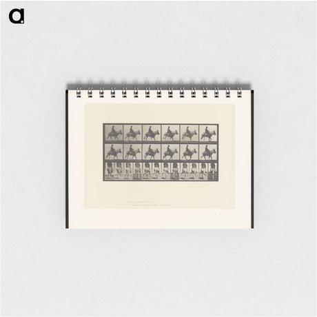 アートメモ帳-Boy on a Donkey
 - エドワード マイブリッジ Memo.