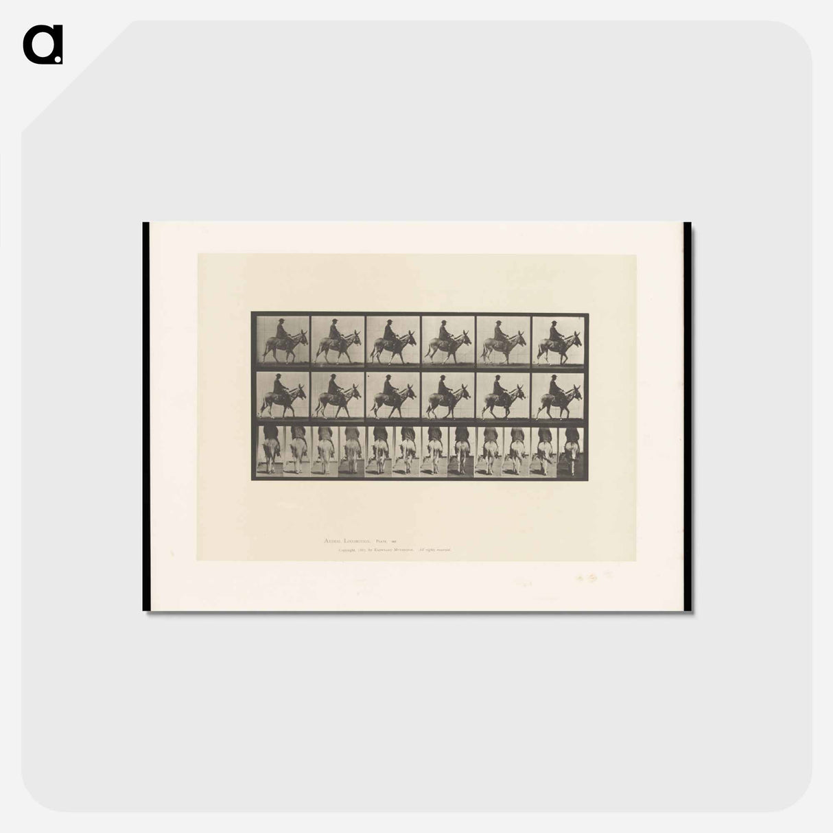 アートポストカード-Boy on a Donkey
 - エドワード マイブリッジ Postcard.