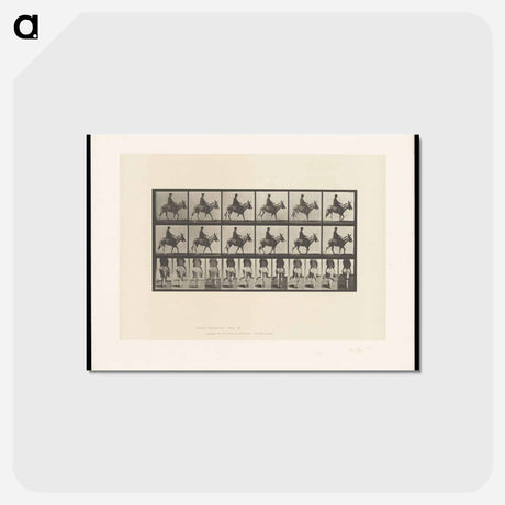 アートポストカード-Boy on a Donkey
 - エドワード マイブリッジ Postcard.