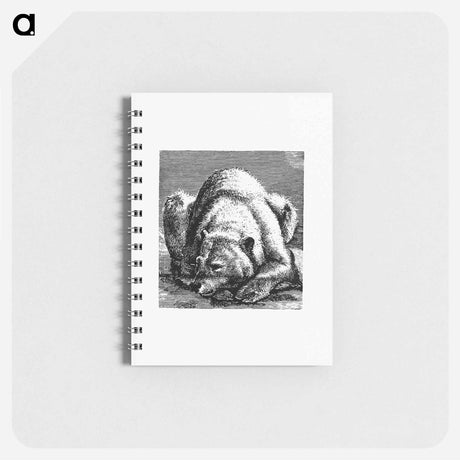 アートメモ帳-Bear from Nimrod In The North, Or Hunting And Fishing Adventures In The Artic Regions
 - 大英図書館 Memo.