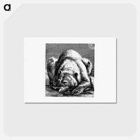 アートポストカード-Bear from Nimrod In The North, Or Hunting And Fishing Adventures In The Artic Regions
 - 大英図書館 Postcard.