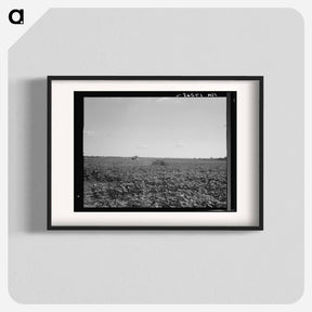 アートポスター-Houses dot the fields, abandoned before the march of the tractor. Aldridge Plantation near Leland, Mississippi. Sourced from the Library of Congress. - ドロテア ラング Poster.