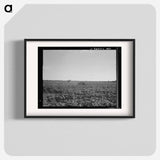 Houses dot the fields, abandoned before the march of the tractor. Aldridge Plantation near Leland, Mississippi. Sourced from the Library of Congress. - Dorothea Lange Poster.