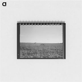 アートメモ帳-Houses dot the fields, abandoned before the march of the tractor. Aldridge Plantation near Leland, Mississippi. Sourced from the Library of Congress. - ドロテア ラング Memo.