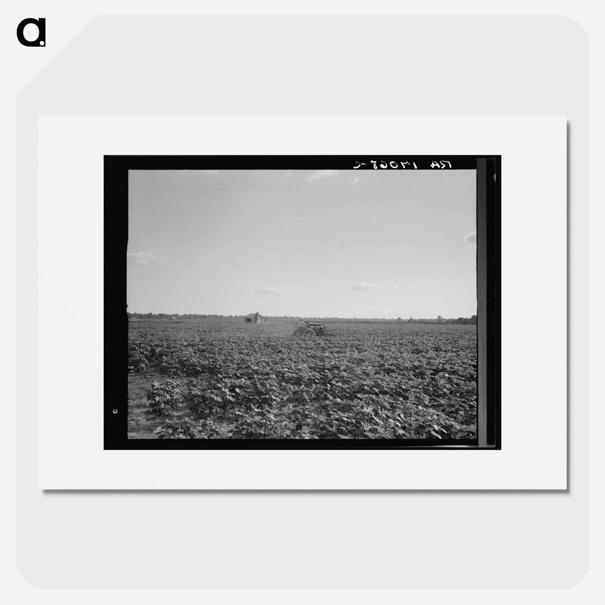 Houses dot the fields, abandoned before the march of the tractor. Aldridge Plantation near Leland, Mississippi. Sourced from the Library of Congress. - ドロテア ラング Poster.