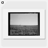 Houses dot the fields, abandoned before the march of the tractor. Aldridge Plantation near Leland, Mississippi. Sourced from the Library of Congress. - Dorothea Lange Poster.