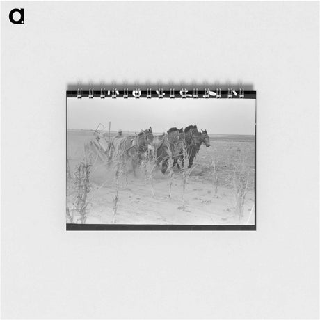 アートメモ帳-Sharecropping Children
 - ラッセル リー Memo.