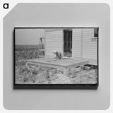 アートパネル-Plowed Cornfield
 - ラッセル リー Canvas.