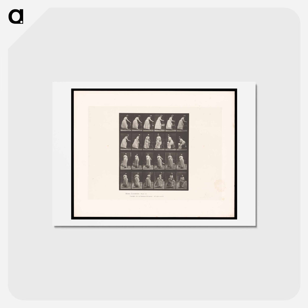 アートポストカード-Woman Moving a Chair
 - エドワード マイブリッジ Postcard.