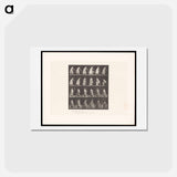 アートポストカード-Woman Moving a Chair
 - エドワード マイブリッジ Postcard.