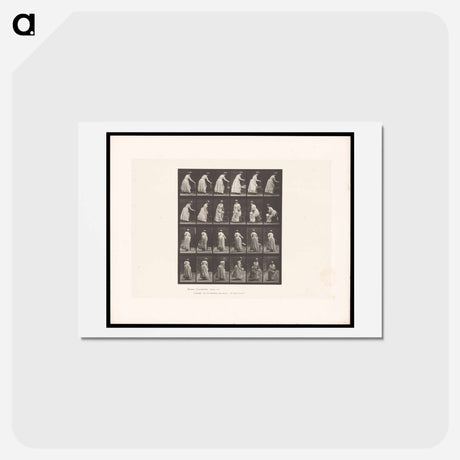 アートポストカード-Woman Moving a Chair
 - エドワード マイブリッジ Postcard.