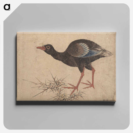 アートパネル-Album of Sketches by Katsushika Hokusai and His Disciples - 葛飾 北斎 Canvas.