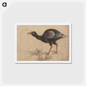 アートポストカード-Album of Sketches by Katsushika Hokusai and His Disciples - 葛飾 北斎 Postcard.