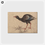 アートポストカード-Album of Sketches by Katsushika Hokusai and His Disciples - 葛飾 北斎 Postcard.