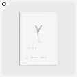 アートポストカード-Sedum Villosum (Hairy Stonecro) - ピエール ジョゼフ ルドゥーテ Postcard.