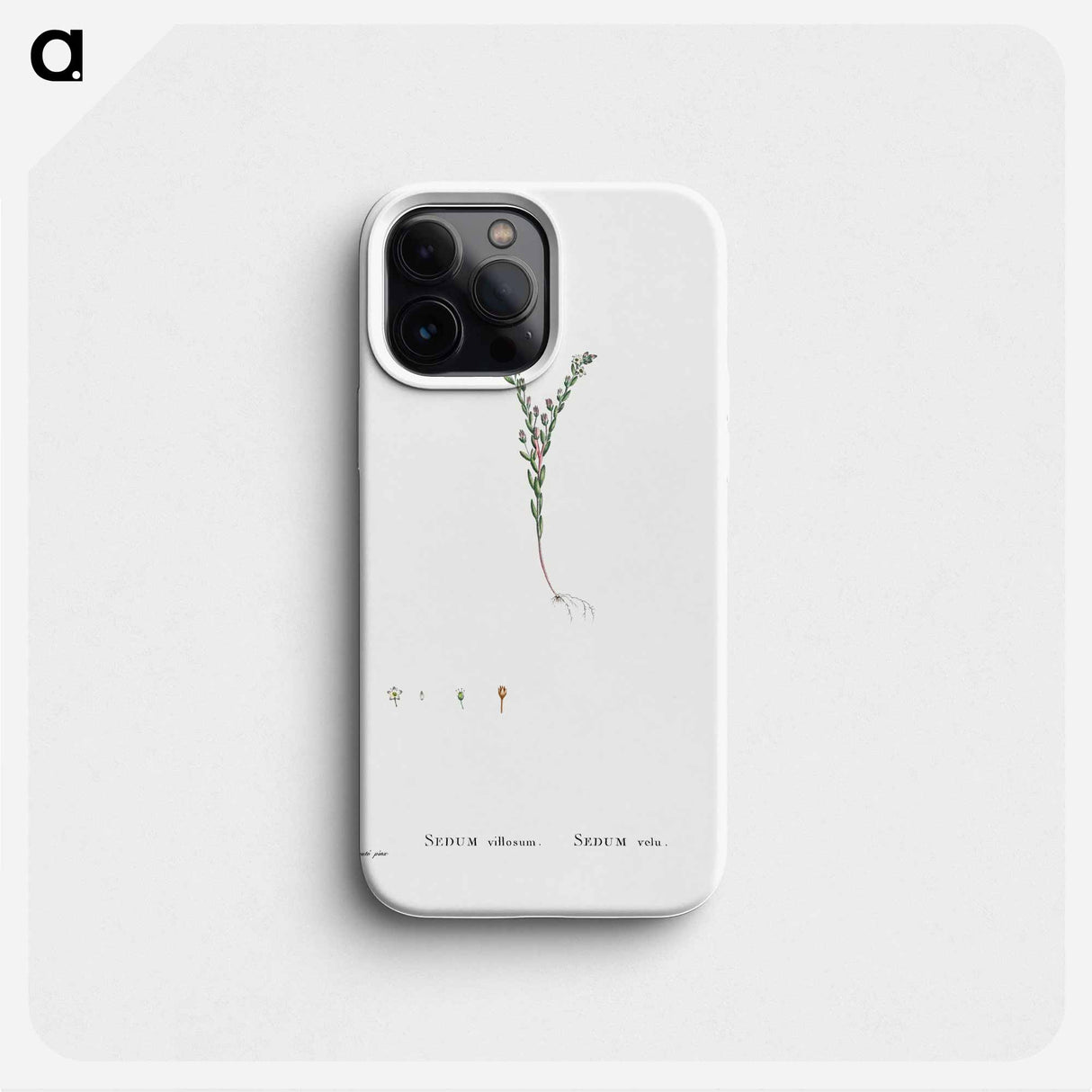 Sedum Villosum (Hairy Stonecro) - Pierre Joseph Redouté Phone Case.