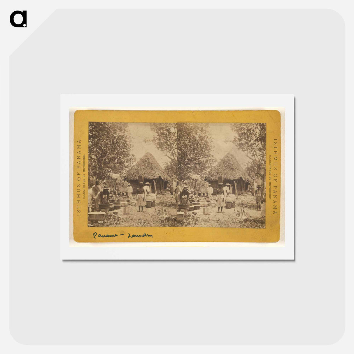 アートポストカード-Laundry
 - エドワード マイブリッジ Postcard.