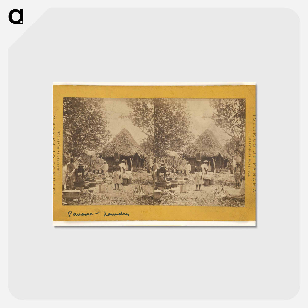 アートポストカード-Laundry
 - エドワード マイブリッジ Postcard.