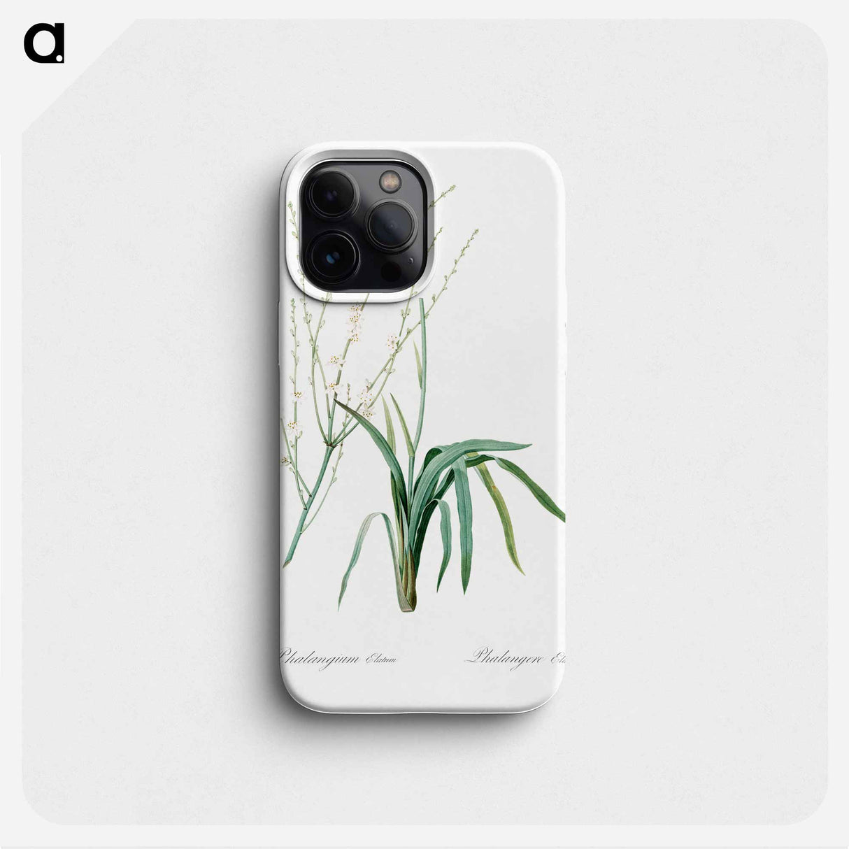 Phalangium elatum - Pierre Joseph Redouté Phone Case.