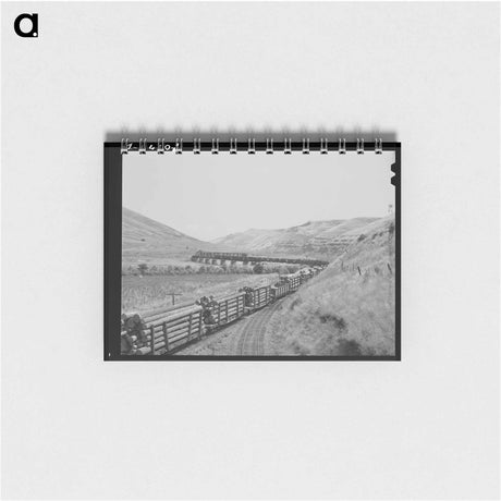アートメモ帳-Arizona Part-Time Farms
 - ラッセル リー Memo.