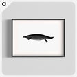 アートポスター-Duck-billed Platypus
 - 大英図書館 Poster.