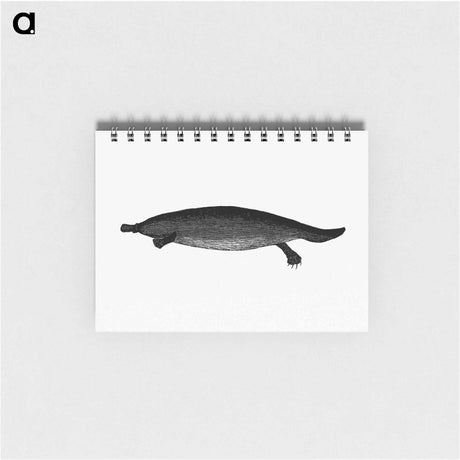 アートメモ帳-Duck-billed Platypus
 - 大英図書館 Memo.