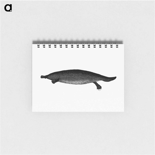 アートメモ帳-Duck-billed Platypus
 - 大英図書館 Memo.