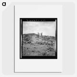 Sign near Tombstone, Arizona - Dorothea Lange Poster.