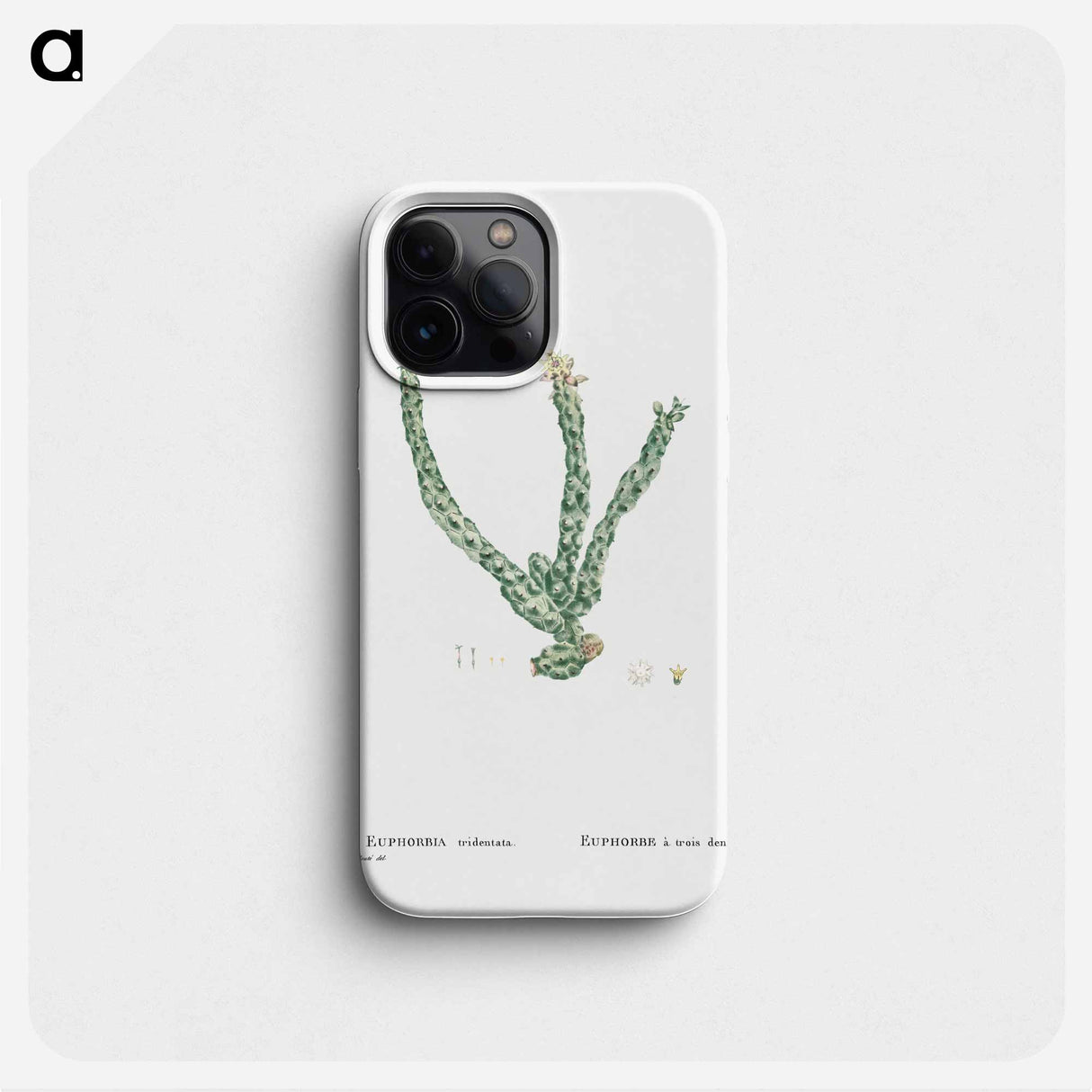 Euphorbia Tridentata (Spurge) - ピエール ジョゼフ ルドゥーテ Phone Case.
