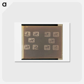 アートポストカード-Trotting
 - エドワード マイブリッジ Postcard.
