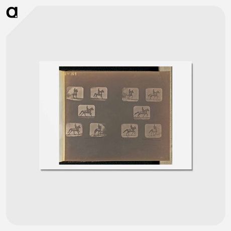 アートポストカード-Trotting
 - エドワード マイブリッジ Postcard.