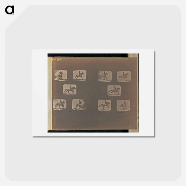 アートポストカード-Trotting
 - エドワード マイブリッジ Postcard.