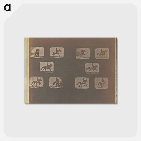 アートポストカード-Trotting
 - エドワード マイブリッジ Postcard.