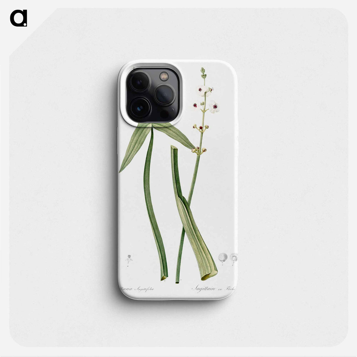 Arrowhead - ピエール ジョゼフ ルドゥーテ Phone Case.