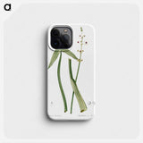 Arrowhead - ピエール ジョゼフ ルドゥーテ Phone Case.